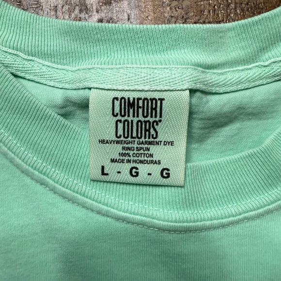 Comfort Colors Mint Tee with Blue Bow and cherry Checkered Design - Picture 4 of 6